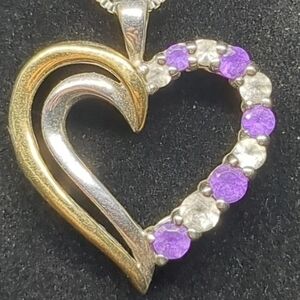 Kay Jewelers Gold and Purple Heart Necklace